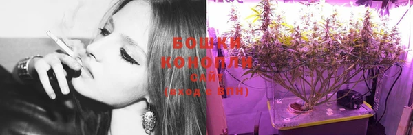 хмурый Богородицк