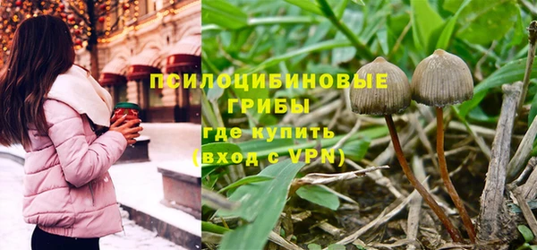 хмурый Богородицк