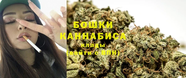 стаф Богданович