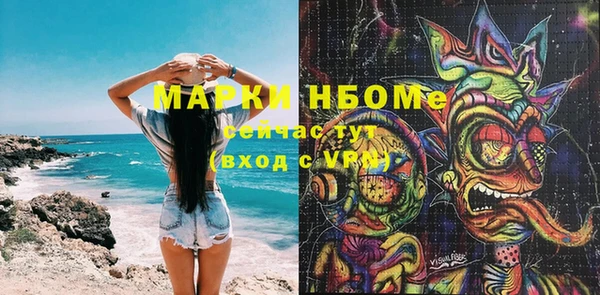 хмурый Богородицк