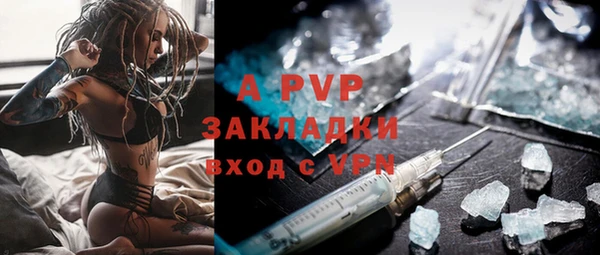 стаф Богданович